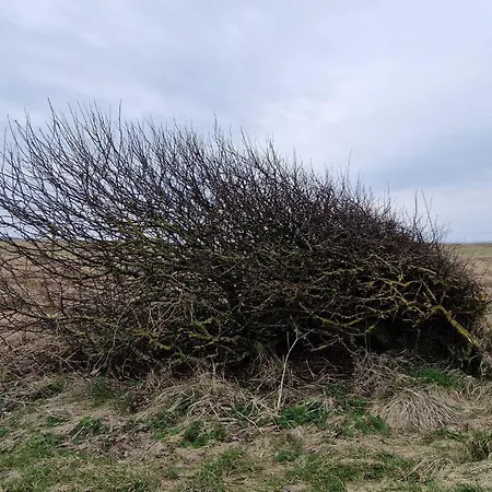 Vakantiehuis 2 Person In *