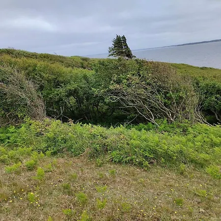 Vakantiehuis 2 Person In Grenå