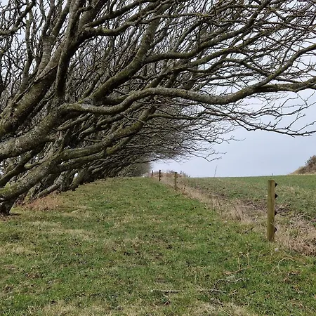 Vakantiehuis 2 Person In